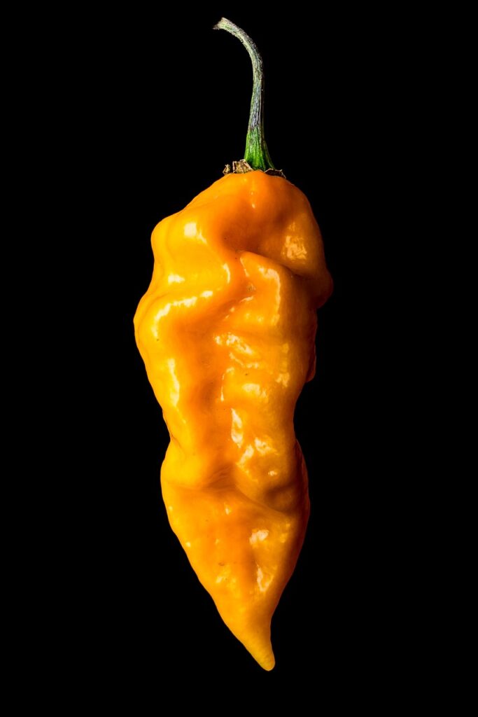 yellow pepper, vegetable, isolated on black, black background, iphone wallpaper, black background, black background, iphone wallpaper, iphone wallpaper, iphone wallpaper, iphone wallpaper, iphone wallpaper